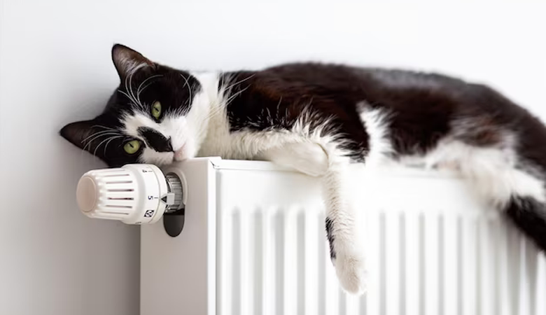 Why Are My Radiators Getting Hot When the Heating Is Off?